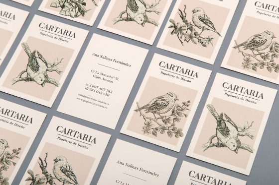 Identidad corporativa Cartaria | Diseño gráfico Asturias | Estudio Dmentes